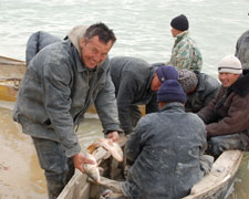 Aral Sea